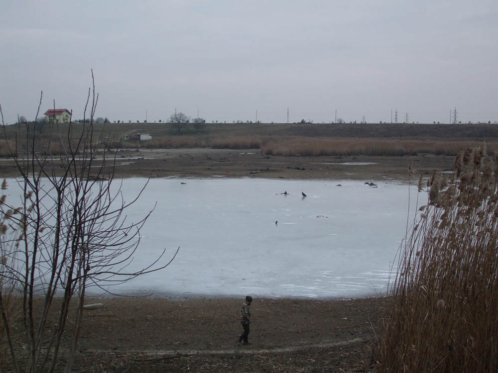 TANCABESTI SECAT - DSCF3446.jpg